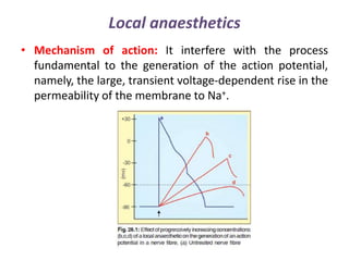 Local anaesthetics
• Mechanism of action: It interfere with the process
fundamental to the generation of the action potential,
namely, the large, transient voltage-dependent rise in the
permeability of the membrane to Na+.
 