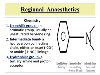 Regional Anaesthetics
Chemistry
1. Lipophilic group- an
aromatic group, usually an
unsaturated benzene ring.
2. Intermediate bond- a
hydrocarbon connecting
chain, either an ester (-CO-)
or amide (-HNC-) linkage.
3. Hydrophilic group- a
tertiary amine and proton
acceptor
 