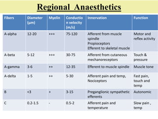 Regional Anaesthetics
Fibers Diameter
(µm)
Myelin Conductio
n velocity
(m/s)
Innervation Function
A-alpha 12-20 +++ 75-120 Afferent from muscle
spindle
Propioceptors
Efferent to skeletal muscle
Motor and
reflex activity
A-beta 5-12 +++ 30-75 Afferent from cutaneous
mechanoreceptors
Touch &
pressure
A-gamma 3-6 ++ 12-35 Efferent to muscle spindle Muscle tone
A-delta 1-5 ++ 5-30 Afferent pain and temp,
Nociceptors
Fast pain,
touch and
temp
B <3 + 3-15 Preganglionic sympathetic
efferents
Autonomic
C 0.2-1.5 - 0.5-2 Afferent pain and
temperature
Slow pain ,
temp
 