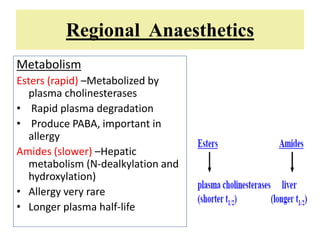 Regional Anaesthetics
Metabolism
Esters (rapid) –Metabolized by
plasma cholinesterases
• Rapid plasma degradation
• Produce PABA, important in
allergy
Amides (slower) –Hepatic
metabolism (N-dealkylation and
hydroxylation)
• Allergy very rare
• Longer plasma half-life
 