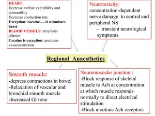 HEART:
Decrease cardiac excitability and
contractility
Decrease conduction rate
Exception: cocaine......it stimulates
heart
BLOOD VESSELS: Arteriolar
dilation
Cocaine is exception: produces
vasoconstriction
Neurotoxicity:
concentration-dependent
nerve damage to central and
peripheral NS
- transient neurological
symptoms
Smooth muscle:
-depress contractions in bowel
-Relaxation of vascular and
bronchial smooth muscle
-Increased GI tone
Neuromuscular junction :
-Block response of skeletal
muscle to Ach at concentration
at which muscle responds
normally to direct electrical
stimulation
-Block nicotinic Ach receptors
Regional Anaesthetics
 