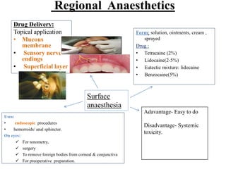Regional Anaesthetics
Drug Delivery:
Topical application
• Mucous
membrane
• Sensory nerve
endings
• Superficial layer
Form: solution, ointments, cream ,
sprayed
Drug :
• Tetracaine (2%)
• Lidocaine(2-5%)
• Eutectic mixture: lidocaine
• Benzocaine(5%)
Uses:
• endoscopic procedures
• hemorroids/ anal sphincter.
On eyes:
 For tonometry,
 surgery
 To remove foreign bodies from corneal & conjunctiva
 For preoperative preparation.
Adavantage- Easy to do
Disadvantage- Systemic
toxicity.
Surface
anaesthesia
 