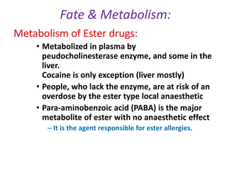 Fate & Metabolism:
Metabolism of Ester drugs:
• Metabolized in plasma by
peudocholinesterase enzyme, and some in the
liver.
Cocaine is only exception (liver mostly)
• People, who lack the enzyme, are at risk of an
overdose by the ester type local anaesthetic
• Para-aminobenzoic acid (PABA) is the major
metabolite of ester with no anaesthetic effect
– It is the agent responsible for ester allergies.
 