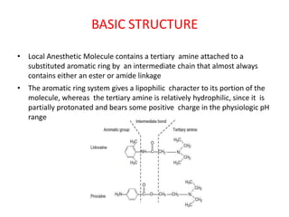 BASIC STRUCTURE
• Local Anesthetic Molecule contains a tertiary amine attached to a
substituted aromatic ring by an intermediate chain that almost always
contains either an ester or amide linkage
• The aromatic ring system gives a lipophilic character to its portion of the
molecule, whereas the tertiary amine is relatively hydrophilic, since it is
partially protonated and bears some positive charge in the physiologic pH
range
 