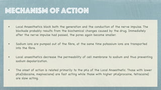 How Local Anesthesia Works Local Anaesthetics | PDF