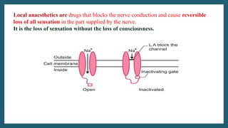 How Local Anesthesia Works PHARMACOLOGY OF LOCAL ANAESTHETICS-BPHARM | PPTX