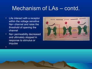 Mechanism of LAs – contd.
• LAs interact with a receptor
within the voltage sensitive
Na+ channel and raise the
threshold of opening the
channel
•
•
Na+ permeability decreased
and ultimately stopped in
response to stimulus or
impulse
 