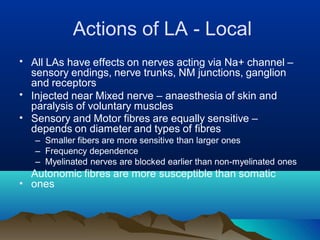 Actions of LA - Local
•
•
All LAs have effects on nerves acting via Na+ channel –
sensory endings, nerve trunks, NM junctions, ganglion
and receptors
Injected near Mixed nerve – anaesthesia of skin and
paralysis of voluntary muscles
•
•
Sensory and Motor fibres are equally sensitive –
depends on diameter and types of fibres
– Smaller fibers are more sensitive than larger ones
– Frequency dependence
– Myelinated nerves are blocked earlier than non-myelinated ones
Autonomic fibres are more susceptible than somatic
ones
 