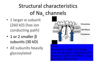 Local Anaesthetics | PPT