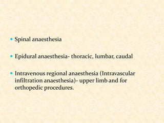  Spinal anaesthesia
 Epidural anaesthesia- thoracic, lumbar, caudal
 Intravenous regional anaesthesia (Intravascular
infiltration anaesthesia)- upper limb and for
orthopedic procedures.
 