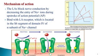  The LAs block nerve conduction by
decreasing the entry of Na+ ions during
upstroke of action potential (AP)
 Bind with LA receptor, which is located
in the S6 segment of domain IV of
α subunit of Na+ channel
10-Jul-21 7
Dr. Subhash R. Yende
 