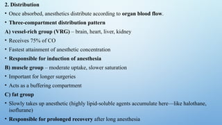 Comprehensive Overview of Local and General Anesthesia: Mechanisms ...