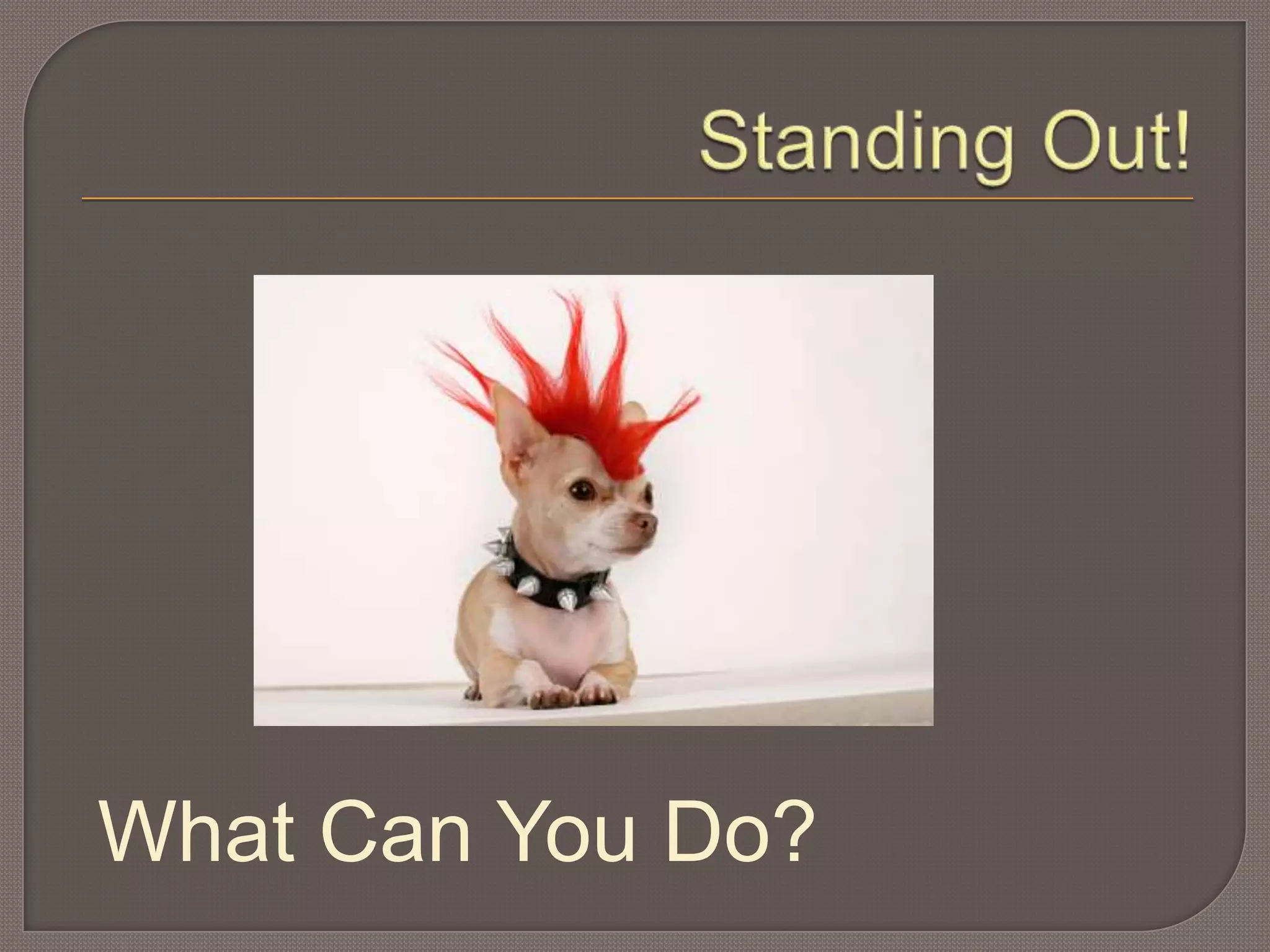 Having a Website is Not EnoughHow do people find it?How do you drive trafficto a website?Are you satisfied with your                          current web presence? 8Search optimization companies are far too expensive for most local businesses! 