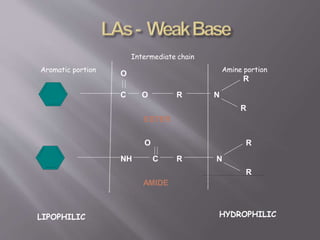 C
C O
O
R N
R
NH
O
R N
R
R
Aromatic portion Amine portion
R
Intermediate chain
ESTER
AMIDE
LIPOPHILIC HYDROPHILIC
 