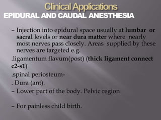 EPIDURAL ANDCAUDAL ANESTHESIA
– Injection into epidural space usually at lumbar or
sacral levels or near dura matter where nearly
most nerves pass closely. Areas supplied by these
nerves are targeted e.g.
.ligamentum flavum(post) (thick ligament connect
c2-s1)
.spinal periosteum-
. Dura (ant).
– Lower part of the body. Pelvic region
– For painless child birth.
 