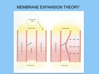 1 /1031 /103
MEMBRANE EXPANSION THEORY
 