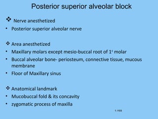 1 /1031 /103
Posterior superior alveolar block
 Nerve anesthetized
• Posterior superior alveolar nerve
 Area anesthetized
• Maxillary molars except mesio-buccal root of 1st
molar
• Buccal alveolar bone- periosteum, connective tissue, mucous
membrane
• Floor of Maxillary sinus
 Anatomical landmark
• Mucobuccal fold & its concavity
• zygomatic process of maxilla
 