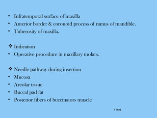 1 /1031 /103
• Infratemporal surface of maxilla
• Anterior border & coronoid process of ramus of mandible.
• Tuberosity of maxilla.
 Indication
• Operative procedure in maxillary molars.
 Needle pathway during insertion
• Mucosa
• Areolar tissue
• Buccal pad fat
• Posterior fibers of buccinators muscle
 