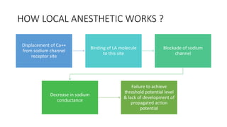 HOW LOCAL ANESTHETIC WORKS ?
Displacement of Ca++
from sodium channel
receptor site
Binding of LA molecule
to this site
Blockade of sodium
channel
Decrease in sodium
conductance
Failure to achieve
threshold potential level
& lack of development of
propagated action
potential
 