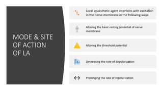 MODE & SITE
OF ACTION
OF LA
Local anaesthetic agent interferes with excitation
in the nerve membrane in the following ways:
Altering the basic resting potential of nerve
membrane
Altering the threshold potential
Decreasing the rate of depolarization
Prolonging the rate of repolarization
 