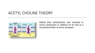 ACETYL CHOLINE THEORY
Stated that acetylcholine was involved in
nerve conduction in addition to its role as a
neurotransmitter at nerve synapses.
 