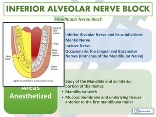 INFERIOR ALVEOLAR NERVE BLOCK
• Inferior Alveolar Nerve and its subdivisions
• Mental Nerve
• Incisive Nerve
• Occasionally, the Lingual and Buccinator
Nerves (Branches of the Mandibular Nerve)
Nerves
Anesthetized
• Body of the Mandible and an Inferior
portion of the Ramus
• Mandibular teeth
• Mucous membrane and underlying tissues
anterior to the first mandibular molar
Areas
Anesthetized
Mandibular Nerve Block
 