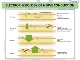 Local Anesthesia | PPTX