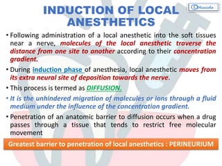 INDUCTION OF LOCAL
ANESTHETICS
• Following administration of a local anesthetic into the soft tissues
near a nerve, molecules of the local anesthetic traverse the
distance from one site to another according to their concentration
gradient.
• During induction phase of anesthesia, local anesthetic moves from
its extra neural site of deposition towards the nerve.
• This process is termed as DIFFUSION.
• It is the unhindered migration of molecules or ions through a fluid
medium under the influence of the concentration gradient.
• Penetration of an anatomic barrier to diffusion occurs when a drug
passes through a tissue that tends to restrict free molecular
movement
Greatest barrier to penetration of local anesthetics : PERINEURIUM
 