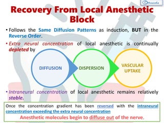 Recovery From Local Anesthetic
Block
• Follows the Same Diffusion Patterns as induction, BUT in the
Reverse Order.
• Extra neural concentration of local anesthetic is continually
depleted by
• Intraneural concentration of local anesthetic remains relatively
stable.
VASCULAR
UPTAKE
DISPERSIONDIFFUSION
Once the concentration gradient has been reversed with the intraneural
concentration exceeding the extra neural concentration
Anesthetic molecules begin to diffuse out of the nerve.
 