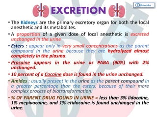 • The Kidneys are the primary excretory organ for both the local
anesthetic and its metabolites.
• A proportion of a given dose of local anesthetic is excreted
unchanged in the urine
• Esters : appear only in very small concentrations as the parent
compound in the urine because they are hydrolyzed almost
completely in the plasma.
• Procaine appears in the urine as PABA (90%) with 2%
unchanged.
• 10 percent of a Cocaine dose is found in the urine unchanged.
• Amides : usually present in the urine as the parent compound in
a greater percentage than the esters, because of their more
complex process of biotransformation.
• % OF PARENT DRUG FOUND IN URINE = less than 3% lidocaine,
1% mepivacaine, and 1% etidocaine is found unchanged in the
urine.
EXCRETION
 