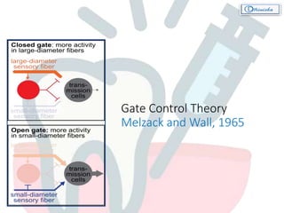 Gate Control Theory
Melzack and Wall, 1965
 