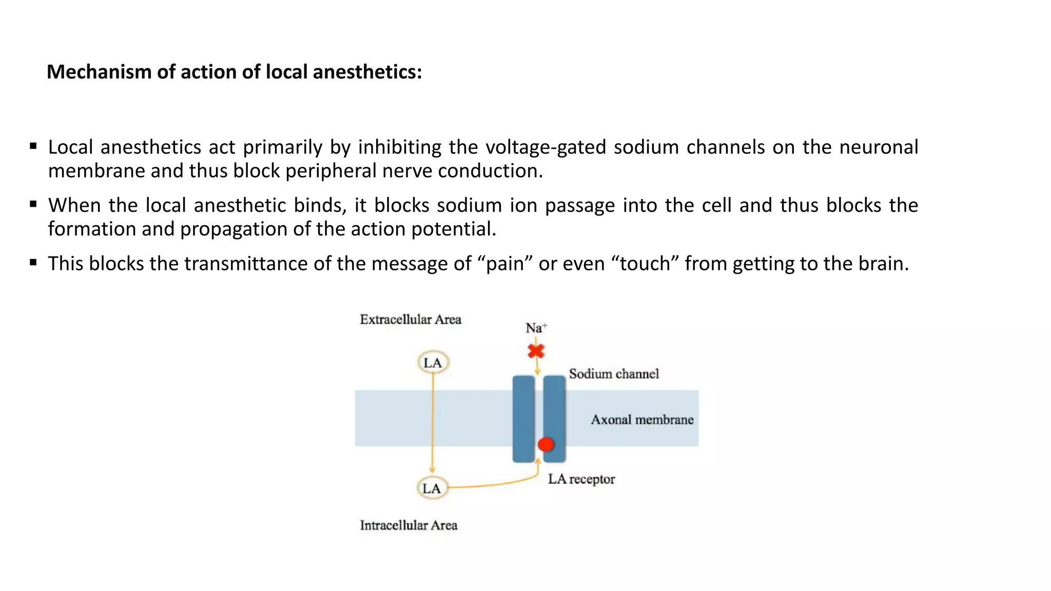 local anesthetics / Medicinal Chemistry | PDF