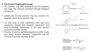 local anesthetics / Medicinal Chemistry | PDF