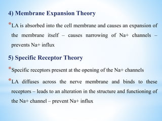 4) Membrane Expansion Theory
*LA is absorbed into the cell membrane and causes an expansion of
the membrane itself – causes narrowing of Na+ channels –
prevents Na+ influx
5) Specific Receptor Theory
*Specific receptors present at the opening of the Na+ channels
*LA diffuses across the nerve membrane and binds to these
receptors – leads to an alteration in the structure and functioning of
the Na+ channel – prevent Na+ influx
 