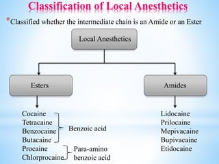 Classification of Local Anesthetics
*Classified whether the intermediate chain is an Amide or an Ester
Local Anesthetics
Esters Amides
Cocaine
Tetracaine
Benzocaine
Butacaine
Procaine
Chlorprocaine
Lidocaine
Prilocaine
Mepivacaine
Bupivacaine
Etidocaine
Para-amino
benzoic acid
Benzoic acid
 