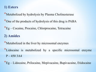 1) Esters
*Metabolized by hydrolysis by Plasma Cholinesterase
*One of the products of hydrolysis of this drug is PABA
*Eg – Cocaine, Procaine, Chlorprocaine, Tetracaine
2) Amides
*Metabolized in the liver by microsomal enzymes
*Lidocaine is metabolized by a specific microsomal enzyme
P – 450 3A4
*Eg – Lidocaine, Prilocaine, Mepivacaine, Bupivacaine, Etidocaine
 