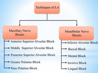Maxillary Nerve
Blocks
Anterior Superior Alveolar Block
Greater Palatine Block
Techniques of LA
Mandibular Nerve
Blocks
Posterior Superior Alveolar Block
Middle Superior Alveolar Block
Naso Palatine Block
Anterior Superior Alveolar Block Inferior Alveolar Block
Lingual Block
Incisive Block
Mental Block
Buccal Block
 