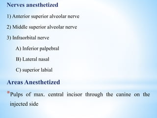Nerves anesthetized
1) Anterior superior alveolar nerve
2) Middle superior alveolar nerve
3) Infraorbital nerve
A) Inferior palpebral
B) Lateral nasal
C) superior labial
Areas Anesthetized
*Pulps of max. central incisor through the canine on the
injected side
 