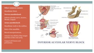 INFERIOR ALVEOLAR NERVE BLOCK
Other common names:
Mandibular block.
Nerves anesthetized:
Inferior alveolar nerve, Incisive,
Mental, Lingual
Areas anesthetized:
Mandibular teeth to the midline.
Body of the mandible.
Buccal mucoperiosteum.
Anterior two-thirds of the tongue
and floor of the oral cavity.
Lingual soft tissues and
periosteum.
 
