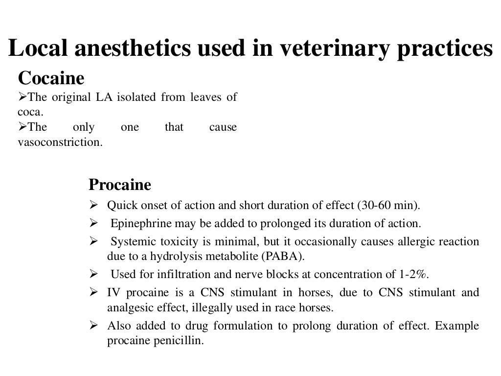 Local anesthesia and nerve blocks in large animals.