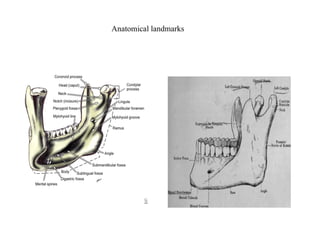 Anatomical landmarks
 