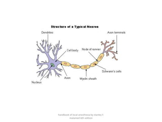 handbook of local anesthesia by stanley F.
malamed 6th edition
 