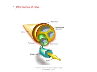 • Ultra structure of nerve
handbook of local anesthesia by stanley F.
malamed 6th edition
 