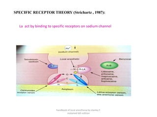 SPECIFIC RECEPTOR THEORY (Strichartz , 1987):
La act by binding to specific receptors on sodium channel
handbook of local anesthesia by stanley F.
malamed 6th edition
 