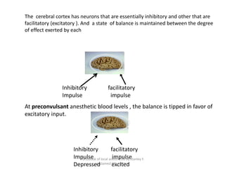 The cerebral cortex has neurons that are essentially inhibitory and other that are
facilitatory (excitatory ). And a state of balance is maintained between the degree
of effect exerted by each
Brain
Inhibitory facilitatory
Impulse impulse
At preconvulsant anesthetic blood levels , the balance is tipped in favor of
excitatory input.
Brain
Inhibitory facilitatory
Impulse impulse
Depressed excited
handbook of local anesthesia by stanley F.
malamed 6th edition
 