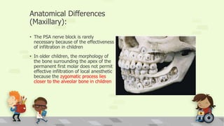 Anatomical Differences
(Maxillary):
• The PSA nerve block is rarely
necessary because of the effectiveness
of infiltration in children
• In older children, the morphology of
the bone surrounding the apex of the
permanent first molar does not permit
effective infiltration of local anesthetic
because the zygomatic process lies
closer to the alveolar bone in children
 