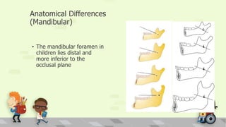 Anatomical Differences
(Mandibular)
• The mandibular foramen in
children lies distal and
more inferior to the
occlusal plane
 