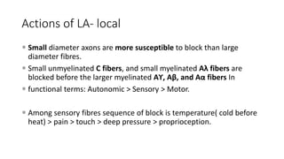 Actions of LA- local
 Small diameter axons are more susceptible to block than large
diameter fibres.
 Small unmyelinated C fibers, and small myelinated Aλ fibers are
blocked before the larger myelinated Aϒ, Aβ, and Aα fibers In
 functional terms: Autonomic > Sensory > Motor.
 Among sensory fibres sequence of block is temperature( cold before
heat) > pain > touch > deep pressure > proprioception.
 