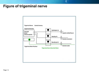 Figure of trigeminal nerve




Page  3
 
