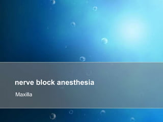 nerve block anesthesia
Maxilla
 